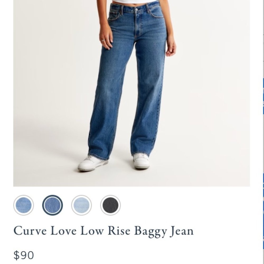 Abercrombie & Fitch Low Rise Baggy Jean Curve Love Size 29 | 8L